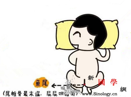 小儿推拿揉鱼尾方法是什么_椎骨-鱼尾-推拿-便秘-