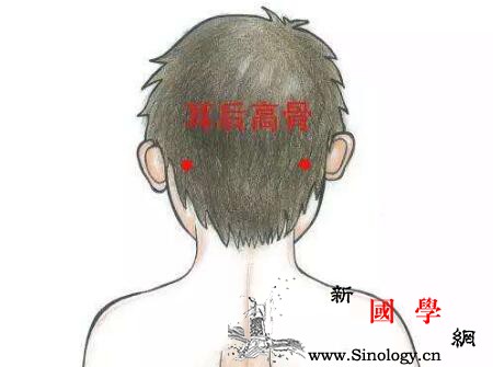小儿推拿耳后高骨方法是什么_惊风-面神经-耳背-穴位-
