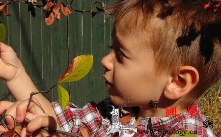 学会挖掘孩子的长处每个孩子都有自己的天赋！_天赋-数学-孩子-长处-
