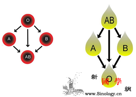 孕期怎么查胎儿血型早知胎儿血型很重要_羊膜-羊水-染色体-穿刺-