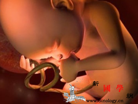 孕妇腹围偏大是怎么回事可能是这几个原因造成_葡萄胎-羊水-胎儿-孕妇-