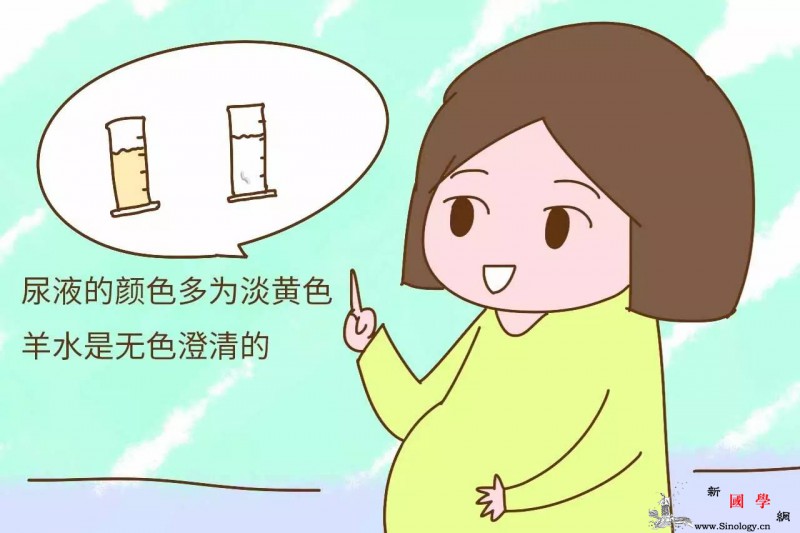 “破水”和“漏尿”傻傻分不清？三招教你如何轻_羊水-试纸-尿液-胎儿-