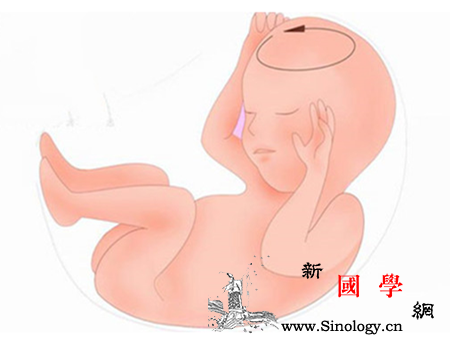 腹围大于头围正常吗_枕骨-是从-前额-孕期-