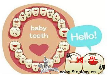宝宝总共多少颗乳牙_上颌-乳牙-门牙-个月-