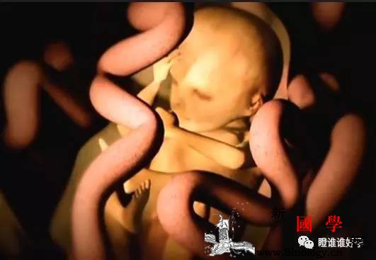 怀孕34周检查发现子宫是空的！胎宝却很健康_子宫-莉亚-怀孕-医生-