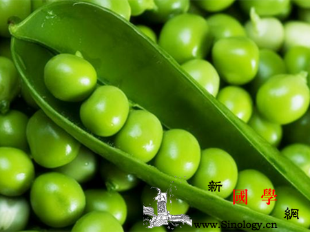 孕妇梦见豌豆是什么意思梦见豌豆的周公解梦_豌豆-预示-孕妇-梦见-