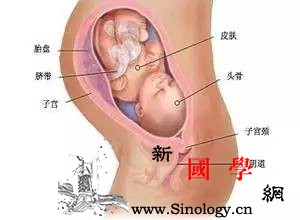 准妈别担心孕期这些小毛病不用愁！_静脉曲张-孕期-静脉-疼痛-
