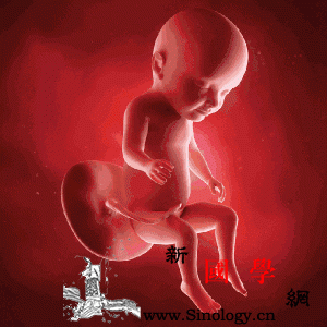 胎宝宝在妈妈肚子里干些啥呢？！_胎动-羊水-打哈欠-脐带-