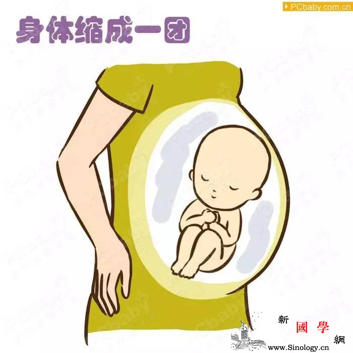 胎动的时候宝宝在干嘛？胎动有什么感觉？答案一_胎动-感觉到-肚子里-感觉-
