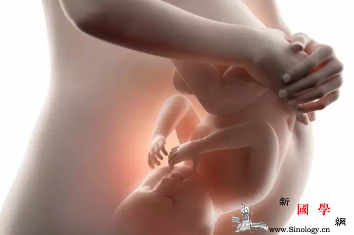 胎儿也是有记忆的！3招生出聪明娃_胎儿-聪明-妈妈-宝宝-