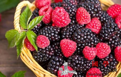 宝宝能吃桑葚吗_桑葚-免疫力-食用-消化-