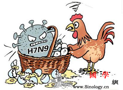 禽流感如何预防宝宝远离禽流感这样做_禽鸟-禽类-粪便-消毒液-