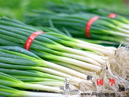 孕妇梦见大葱是什么意思梦见葱的梦境解释大全_葱头-预示-平顺-孕妇-