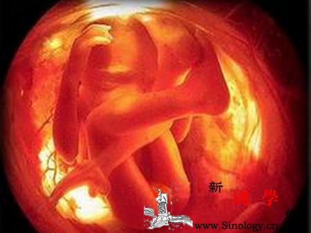 在孕期为什么一定要去做四维彩超？做彩超有哪些_胎儿-畸形-四维-检查-