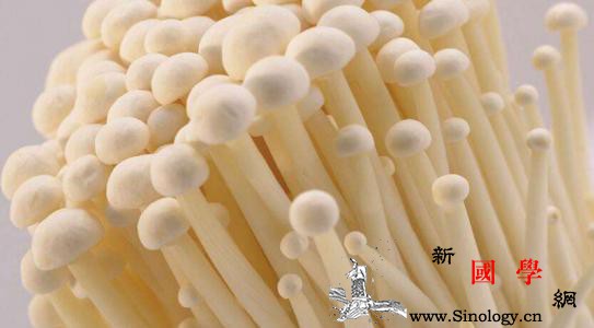 宝宝多大可以吃金针菇_嘌呤-菌类-含量-颜色-