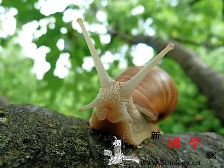 孩子动作比蜗牛还慢？怎么才能让孩子快起来？_目的-磨蹭-拖拉-事情-