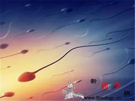精子会影响胎儿健康吗孕期爱爱要注意这些_精子-妊娠-胎儿-胎膜-
