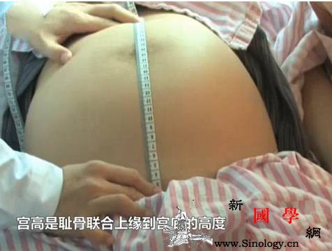 孕期宫高腹围怎么测？请孕妈咪查收_预产期-孕期-妊娠-胎儿-
