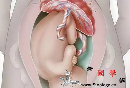 怎样才能避免胎儿脐带绕颈孕期必须做好这几点_胎动-脐带-胎儿-次数-