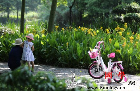 如何提升孩子的独立能力_教给-依赖-失败-父母-