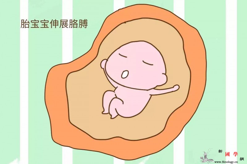 这三种技能宝宝在妈妈肚子里就掌握啦你知道是_胎儿-肚子里-抚摸-妈妈-