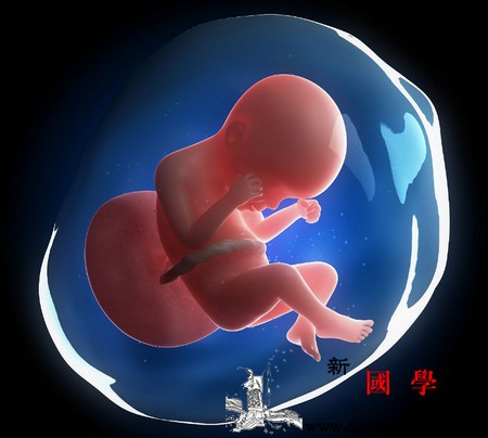 胎宝宝在腹中会有这三种表现吗？有这些症状视为_妈妈-宝宝-会有-胎动-