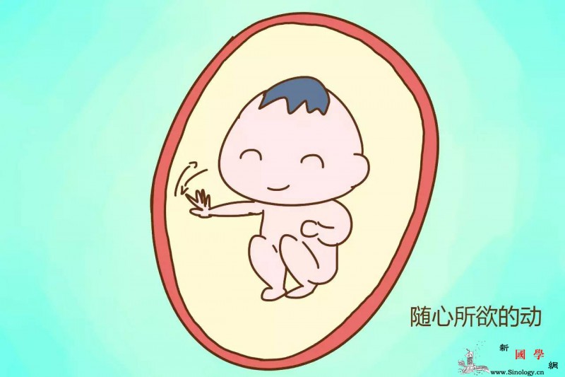 怀孕时胎宝宝都在妈妈肚子里干些什么？_打哈欠-脐带-吞咽-怀孕-