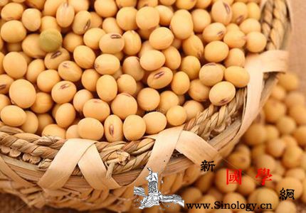 宝宝多大可以吃黄豆_卵磷脂-黄豆-豆浆-色泽-