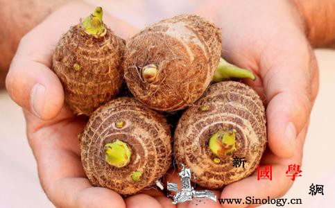 一岁宝宝可以吃芋头吗_止泻-黏液-芋头-食欲-