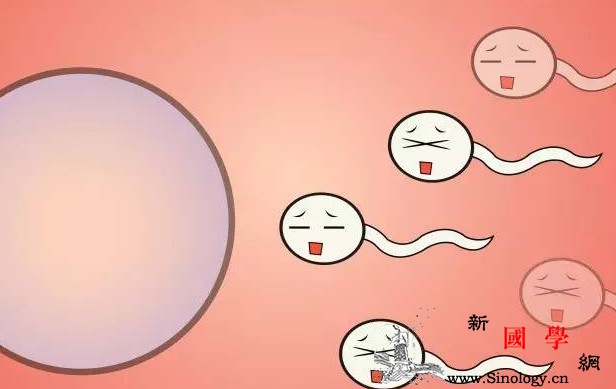 受精卵着床有什么感觉？你感受到了吗？_受精卵-着床-卵子-感觉到-