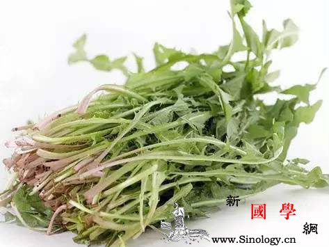宝宝可以吃蒲公英吗_泌尿系-叶柄-根茎-清热解毒-