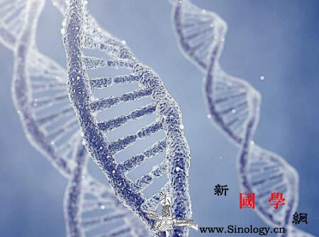 如何预防小儿唐氏综合症_羊膜-颈部-综合症-孕妇-