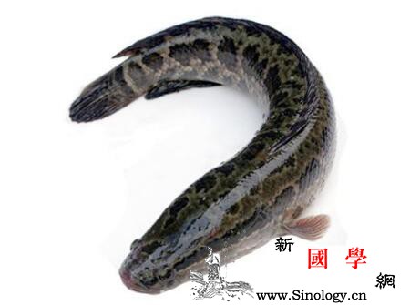 小儿唐氏综合症吃什么好_椰肉-乌鱼-核桃仁-综合症-