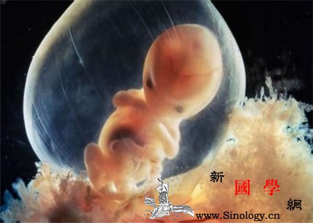 胎儿偏小要不要吃营养液胎儿偏小要怎么补回来_受限-胎儿-偏小-营养-