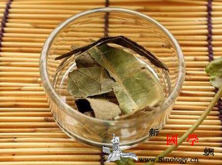 宝宝可以喝枇杷叶水吗_化痰-枇杷-止咳-叶片-
