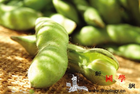 毛豆和黄豆有什么区别营养价值分析_毛豆-黄豆-胆固醇-蛋白质-