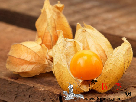灯笼果孕妇可以吃吗孕妇吃灯笼果有什么好处_果胶-灯笼-孕妇-维生素-