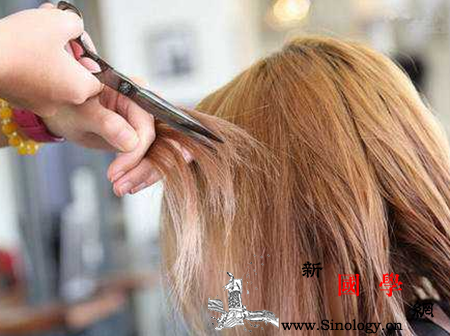 孕妇头发长虱子怎么办这几个方法除虱安全又有_头虱-虱子-头发-洗头-
