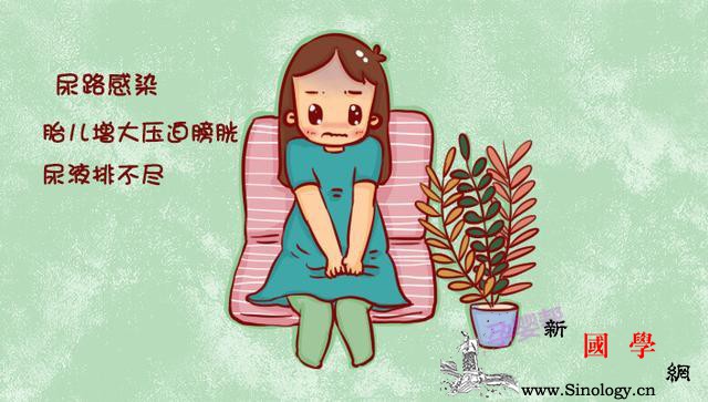 为什么在怀孕期间易出现尿路感染？孕期如何预防_输尿管-尿频-尿液-尿道-
