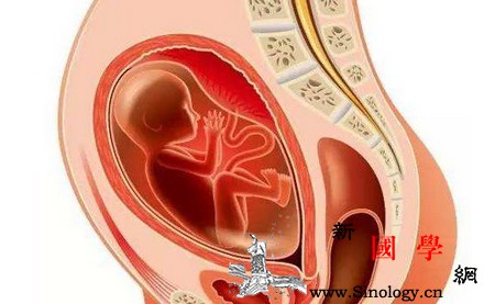 脐带绕颈那么可怕孕妈可以做什么来预防呢？_顺产-胎动-脐带-胎儿-