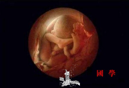 胎儿在腹中有什么能力？孕期哪些事情是要避免的_胎教-感受到-触觉-胎儿-