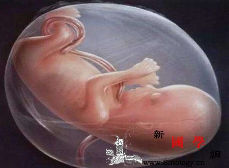 胎儿在孕妈肚子里真的会打嗝吗？胎儿打嗝有害吗_胎动-羊水-打嗝-胎儿-
