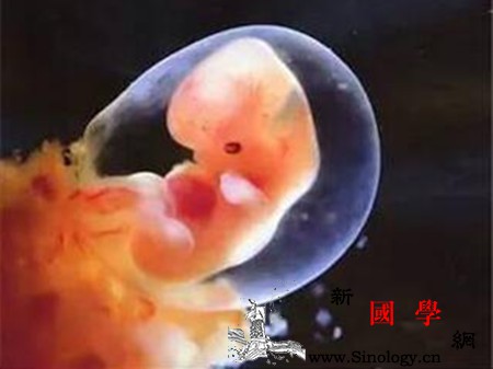 吃螃蟹会导致胎停育吗两者没关系_胚胎-妊娠-流产-稽留-