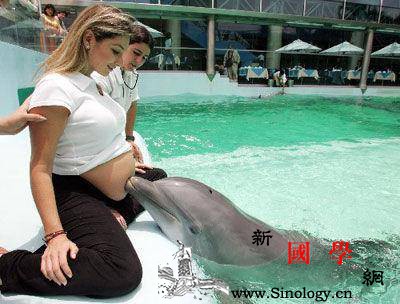 海豚胎教可以刺激胎儿大脑的发育是真的吗？_猝发-声波-胎教-胎儿-