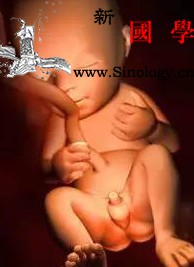是什么原因造成胎儿偏大或偏小？_脐带-母体-胎儿-宝宝-