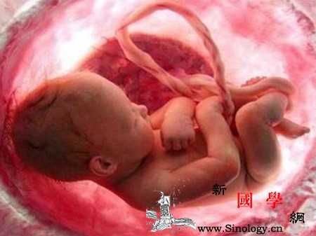 妊娠中毒症产生的原因有什么危害_胎盘-妊娠-蛋白质-基因-