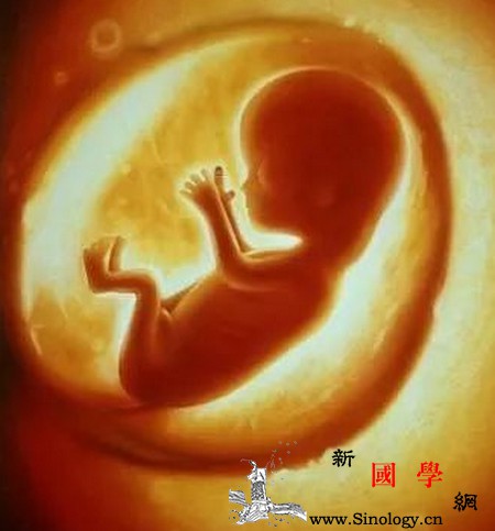 一般怀孕多少天后就可以看到胎心呢？？？_胚胎-抗体-宝宝-胎心-