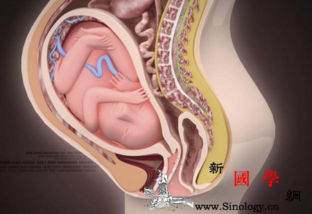 神奇的孕育胎宝宝已有记忆与感知！_胎儿-情绪-宝宝-宝贝-
