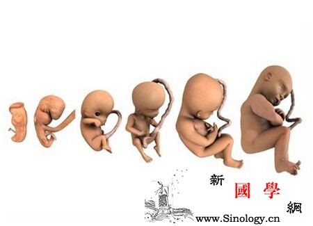 孕期生活中的哪些事情会伤害胎儿？_胎教-孕期-胎儿-事情-