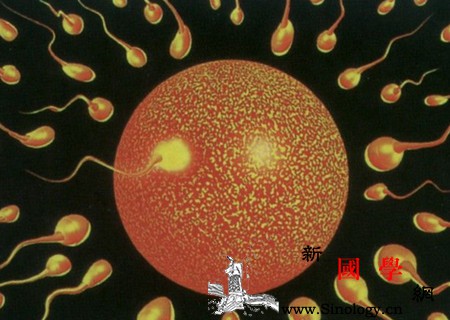 女人受精卵着床有什么样的感觉？这些告诉你要当_受精卵-着床-受精-感觉-